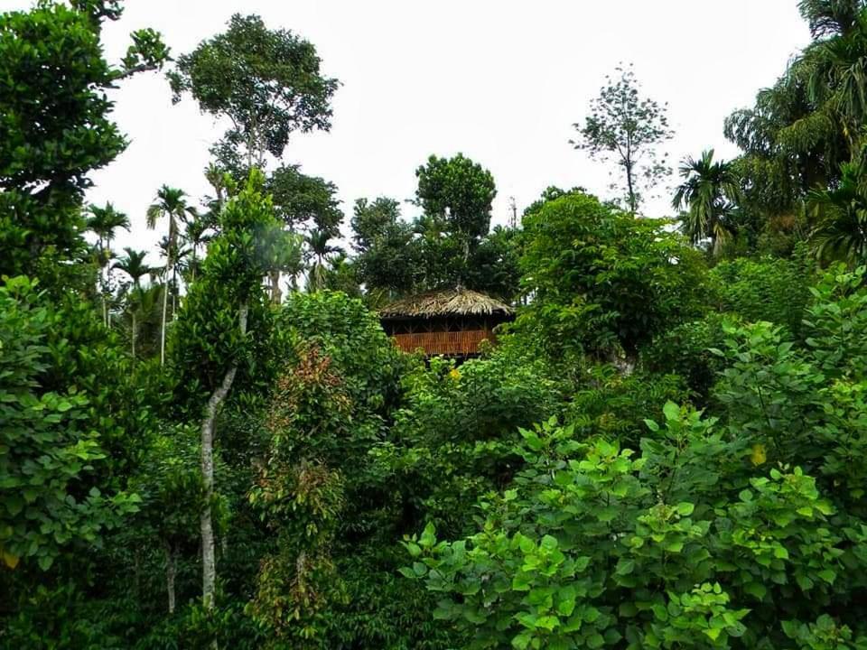 Greens Tree House & Wood House Sultan Bathery Exterior foto