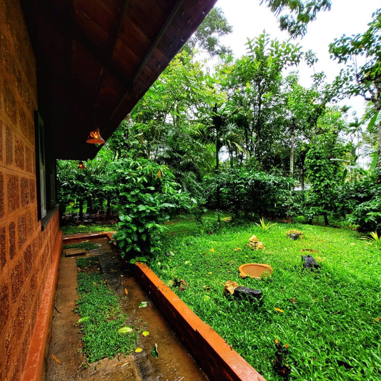 Greens Tree House & Wood House Sultan Bathery Exterior foto
